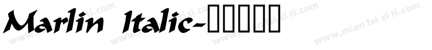 Marlin Italic字体转换